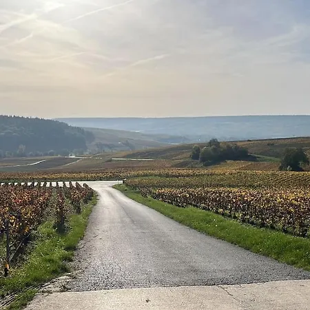 Champagne Stars アパート *